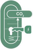 Graphical abstract: Advancing integrated CO2 electrochemical conversion with amine-based CO2 capture: a review