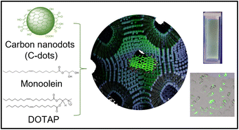 Graphical abstract: Enhancing the photoluminescence and cellular uptake of fluorescent carbon nanodots via cubosome lipid nanocarriers