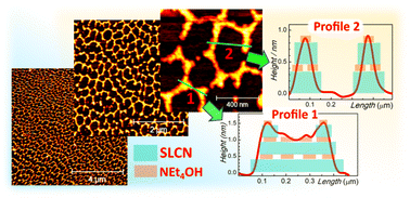 Graphical abstract: Self-assembly of colloidal single-layer carbon nitride