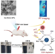 Graphical abstract: A synergistic chemodynamic–photodynamic-photothermal therapy platform based on biodegradable Ce-doped MoOx nanoparticles