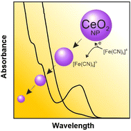 Graphical abstract: Nanoceria dissolution at acidic pH by breaking off the catalytic loop