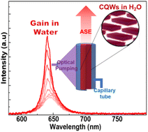 Graphical abstract: Observation of optical gain from aqueous quantum well heterostructures in water