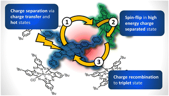 Graphical abstract: Unique multiphthalocyanine coordination systems: vibrationally hot excited states and charge transfer states that power high energy triplet charge separated states