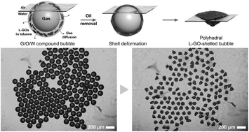 Graphical abstract: Controlled synthesis of solid-shelled non-spherical and faceted microbubbles