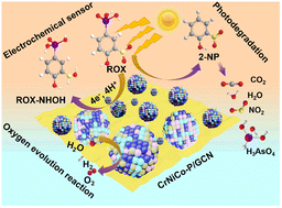 Graphical abstract: Development of robust multifunctional CrNiCo-P/GCN catalyst for oxygen evolution reaction, electrochemical sensing, and photodegradation of roxarsone