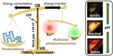 Graphical abstract: Multicolor luminescent material based on interaction between TiNbO5− nanosheets and lanthanide ions for visualization of pH change in inorganic gel electrolyte