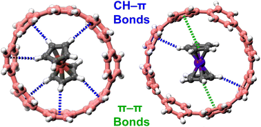 Graphical abstract: Redox-switchable host–guest complexes of metallocenes and [8]cycloparaphenylene