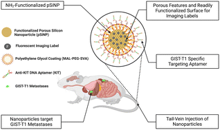 Graphical abstract: Anti-KIT DNA aptamer-conjugated porous silicon nanoparticles for the targeted detection of gastrointestinal stromal tumors