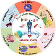 Graphical abstract: Research progress in the application of colloidal motors for precision medicine