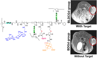 Graphical abstract: Lactose-modified enzyme-sensitive branched polymers as a nanoscale liver cancer-targeting MRI contrast agent