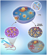 Graphical abstract: A dual-response drug delivery system with X-ray and ROS to boost the anti-tumor efficiency of TPZ via enhancement of tumor hypoxia levels