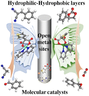 Graphical abstract: Self-assembled mononuclear complexes: open metal sites and inverse dimension-dependent catalytic activity for the Knoevenagel condensation and CO2 cycloaddition
