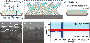 Graphical abstract: Coordinating ionic and electronic conductivity on 3D porous host enabling deep dense lithium deposition toward high-capacity lithium metal anodes