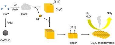 Graphical abstract: Chloride-ion-directed synthesis of plate-like Cu2O mesocrystals for effective nitrogen fixation