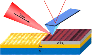 Graphical abstract: Nano-optical imaging of exciton–plasmon polaritons in WSe2/Au heterostructures