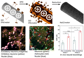 Graphical abstract: Rapid electrophoretic deposition of biocompatible graphene coatings for high-performance recording neural electrodes