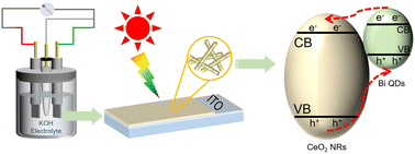 Graphical abstract: van der Waals integration of mixed-dimensional CeO2@Bi heterostructure for high-performance self-powered photodetector with fast response speed