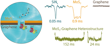 Graphical abstract: Experimental study on single biomolecule sensing using MoS2–graphene heterostructure nanopores