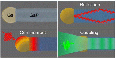 Graphical abstract: Self-assembled photonic structure: a Ga optical antenna on GaP nanowires
