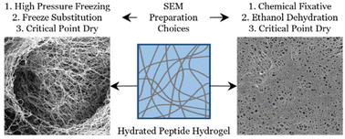 Graphical abstract: A comparison of fixation methods for SEM analysis of self-assembling peptide hydrogel nanoarchitecture