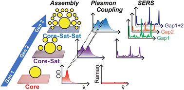 Graphical abstract: Core–satellite–satellite hierarchical nanostructures: assembly, plasmon coupling, and gap-selective surface-enhanced Raman scattering