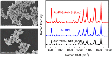 Graphical abstract: Ultrabroad spectral response and excellent SERS performance of PbS-assisted Au/PbS/Au nanostars