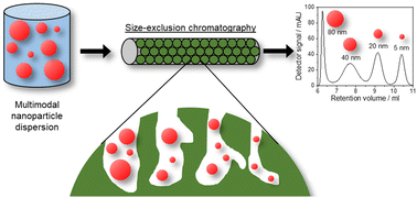 Graphical abstract: Classification and characterization of multimodal nanoparticle size distributions by size-exclusion chromatography