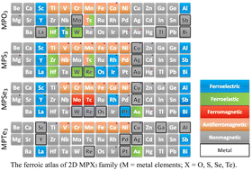 Graphical abstract: Unexpected spontaneous symmetry breaking and diverse ferroicity in two-dimensional mono-metal phosphorus chalcogenides