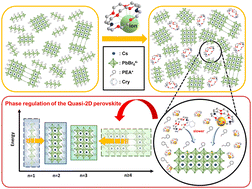 Graphical abstract: Regulating the phase distribution of quasi-2D perovskites using a three-dimensional cyclic molecule toward improved light-emitting performance