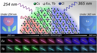 Graphical abstract: Dynamically tunable multicolor emissions from zero-dimensional Cs3LnCl6 (Ln: europium and terbium) nanocrystals with wide color gamut