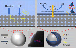 Graphical abstract: Improved rate performance of nanoscale cross-linked polyacrylonitrile-surface-modified LiNi0.8Co0.1Mn0.1O2 lithium-ion cathode material with ion and electron transmission channels