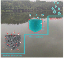 Graphical abstract: Fe–Co controlled super-hygroscopic hydrogels toward efficient atmospheric water harvesting