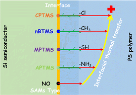 Graphical abstract: Molecular self-assembled monolayers anomalously enhance thermal conductance across polymer–semiconductor interfaces