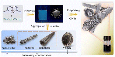 Graphical abstract: Supramolecular structures from structurally persistent and surface active carbon dots in water