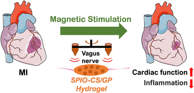 Graphical abstract: Rapid improvement of heart repair in rats after myocardial infarction by precise magnetic stimulation on the vagus nerve with an injectable magnetic hydrogel
