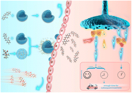 Graphical abstract: A fast-acting brain-targeted nano-delivery system with ultra-simple structure for brain emergency poisoning rescue