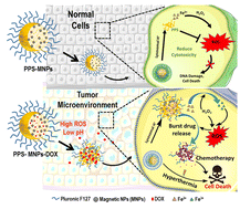 Graphical abstract: Polypropylene sulphide coating on magnetic nanoparticles as a novel platform for excellent biocompatible, stimuli-responsive smart magnetic nanocarriers for cancer therapeutics