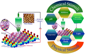 Graphical abstract: Surface supramolecular assemblies tailored by chemical/physical and synergistic stimuli: a scanning tunneling microscopy study