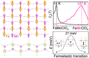 Graphical abstract: Designing a ferrimagnetic-ferroelastic multiferroic semiconductor in FeMoClO4 nanosheets via element substitution