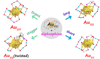 Graphical abstract: Insights into mechanisms of diphosphine-mediated controlled surface construction on Au nanoclusters