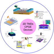 Graphical abstract: Recent advances in 2D TMD circular photo-galvanic effects