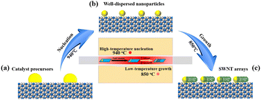 Graphical abstract: Common salts directed the growth of metal-free horizontal SWNT arrays