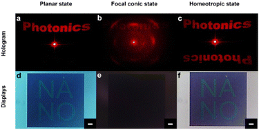 Graphical abstract: Cholesteric liquid crystal-enabled electrically programmable metasurfaces for simultaneous near- and far-field displays