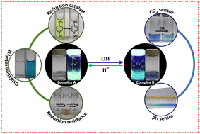 Graphical abstract: Switchable catalysis and CO2 sensing by reduction resistant, luminescent copper–thiolate complexes