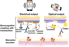 Graphical abstract: Emerging biotransduction strategies on soft interfaces for biosensing