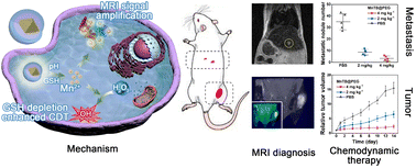 Graphical abstract: A pH/GSH dual responsive nanoparticle with relaxivity amplification for magnetic resonance imaging and suppression of tumors and metastases
