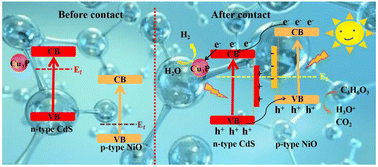 Graphical abstract: Co-catalyst and heterojunction dual strategies to induce photogenerated charge separation for efficient hydrogen evolution of CdS