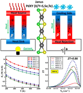 Graphical abstract: Janus β-PdXY (X/Y = S, Se, Te) materials with high anisotropic thermoelectric performance