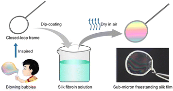 Graphical abstract: Bubble-blowing-inspired sub-micron thick freestanding silk films for programmable electronics