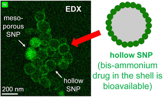 Graphical abstract: Silica nanoparticle remodeling under mild conditions: versatile one step conversion of mesoporous to hollow nanoparticles with simultaneous payload loading